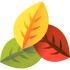 leaves