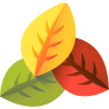 leaves