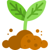 sprout
